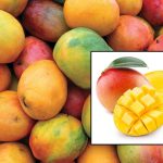 Mango voće